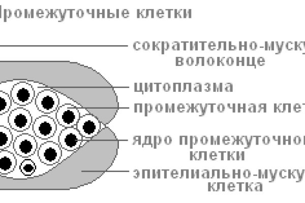 Кракен войти на сайт